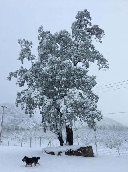 Posada Del Jinete San Jose de Maipo Bagian luar foto